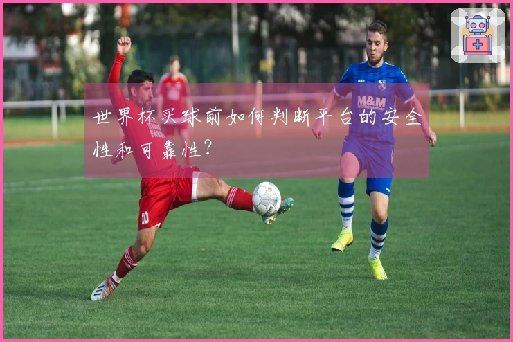 世界杯买球前如何判断平台的安全性和可靠性？