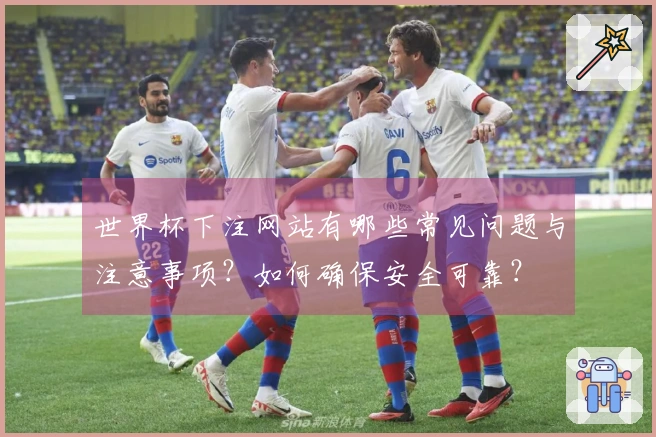 世界杯下注网站有哪些常见问题与注意事项？如何确保安全可靠？