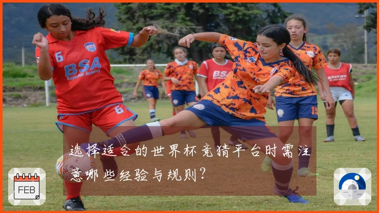选择适合的世界杯竞猜平台时需注意哪些经验与规则？