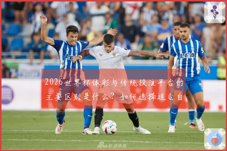 2026世界杯体彩与传统投注平台的主要区别是什么？如何选择适合自己的方式？