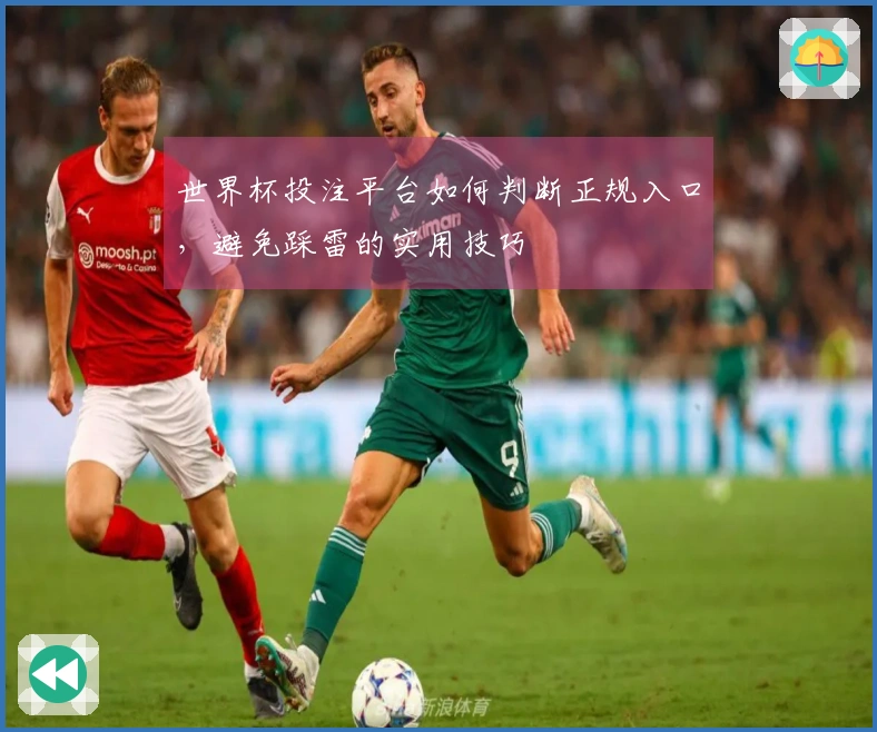 世界杯投注平台如何判断正规入口，避免踩雷的实用技巧