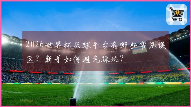 2026世界杯买球平台有哪些常见误区？新手如何避免踩坑？