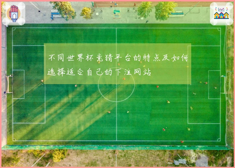 不同世界杯竞猜平台的特点及如何选择适合自己的下注网站