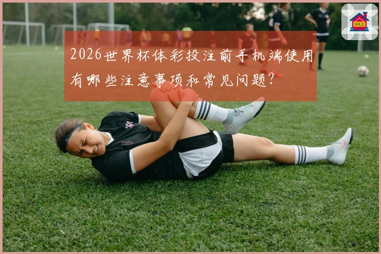 2026世界杯体彩投注前手机端使用有哪些注意事项和常见问题？