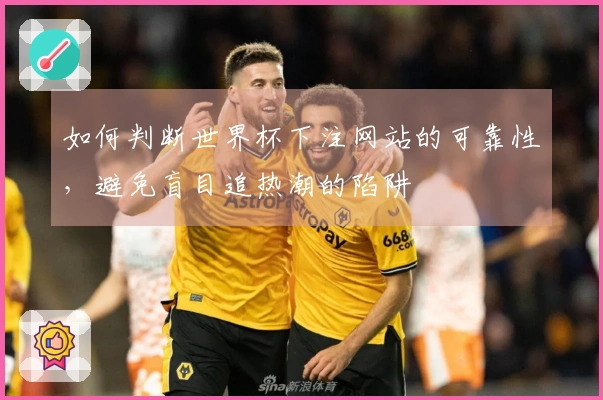 如何判断世界杯下注网站的可靠性，避免盲目追热潮的陷阱