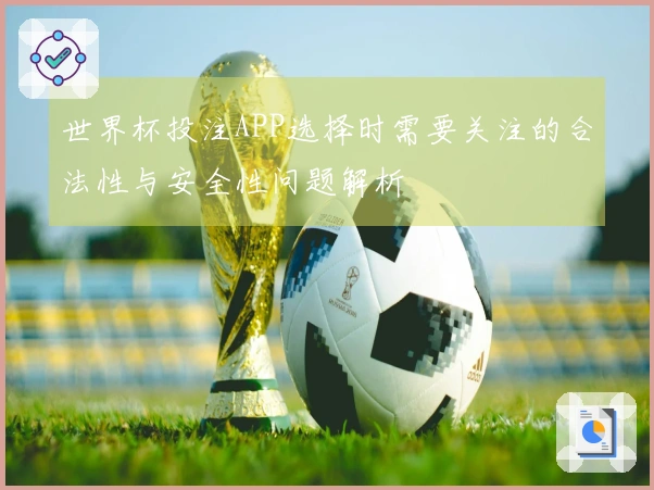 世界杯投注APP选择时需要关注的合法性与安全性问题解析