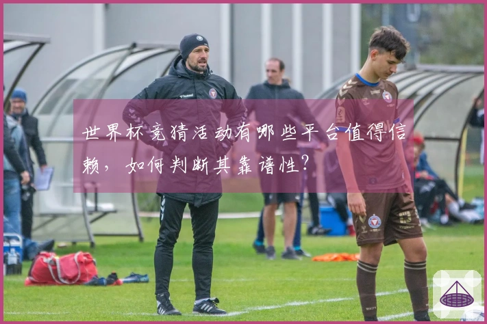 世界杯竞猜活动有哪些平台值得信赖，如何判断其靠谱性？