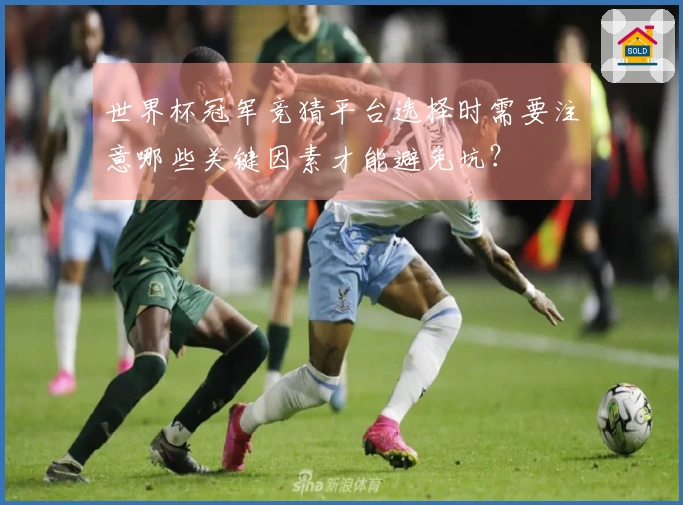 世界杯冠军竞猜平台选择时需要注意哪些关键因素才能避免坑？