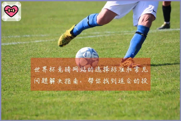 世界杯竞猜网站的选择标准和常见问题解决指南，帮你找到适合的投注平台
