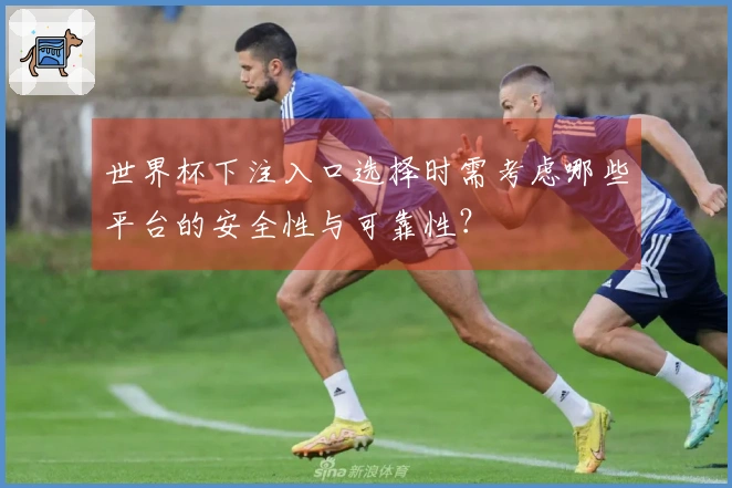 世界杯下注入口选择时需考虑哪些平台的安全性与可靠性？