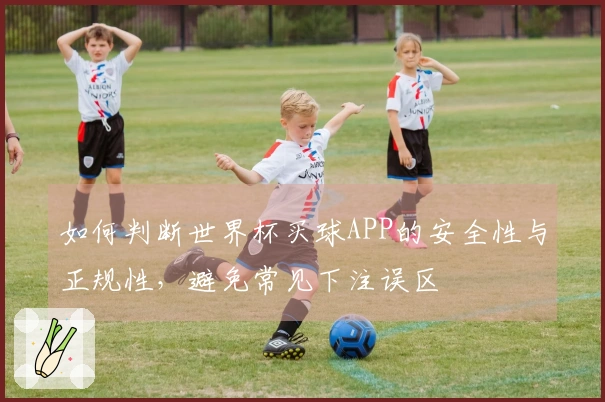 如何判断世界杯买球APP的安全性与正规性，避免常见下注误区