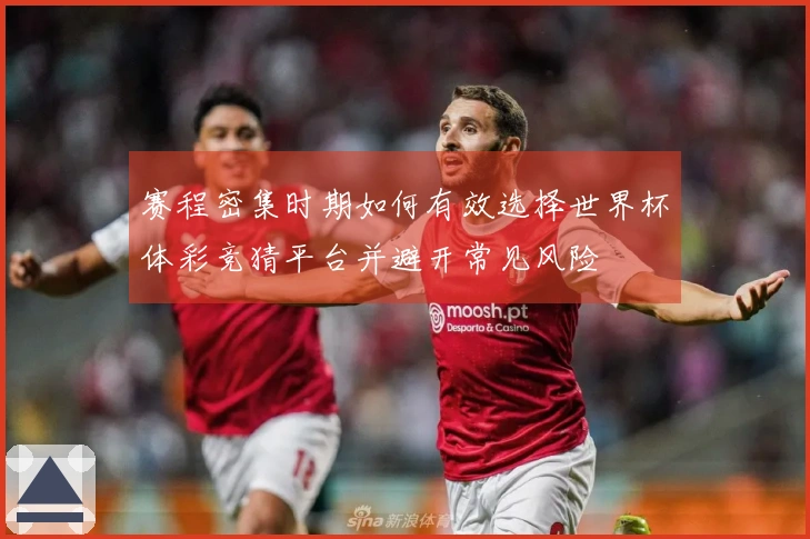 赛程密集时期如何有效选择世界杯体彩竞猜平台并避开常见风险