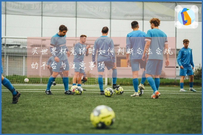 买世界杯竞猜时如何判断合法合规的平台与注意事项