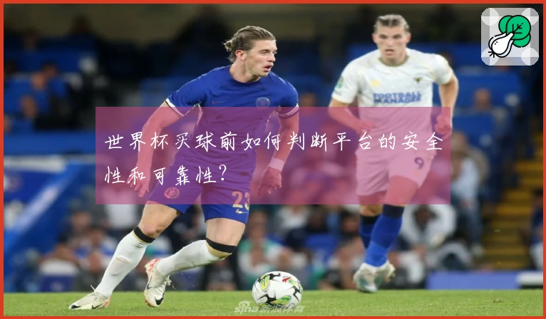 世界杯买球前如何判断平台的安全性和可靠性？