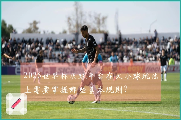 2026世界杯买球平台在大小球玩法上需要掌握哪些基本规则？