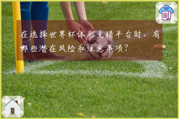 在选择世界杯体彩竞猜平台时，有哪些潜在风险和注意事项？