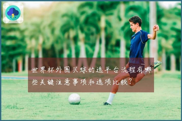 世界杯外围买球的选平台流程有哪些关键注意事项和选项比较？