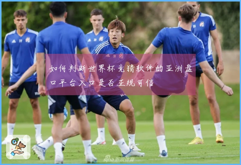 如何判断世界杯竞猜软件的亚洲盘口平台入口是否正规可信
