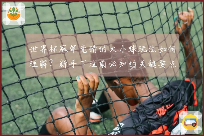 世界杯冠军竞猜的大小球玩法如何理解？新手下注前必知的关键要点