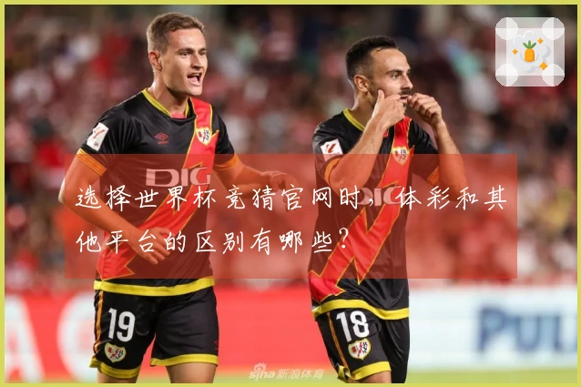 选择世界杯竞猜官网时，体彩和其他平台的区别有哪些？
