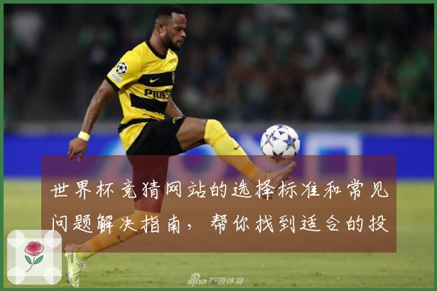 世界杯竞猜网站的选择标准和常见问题解决指南，帮你找到适合的投注平台