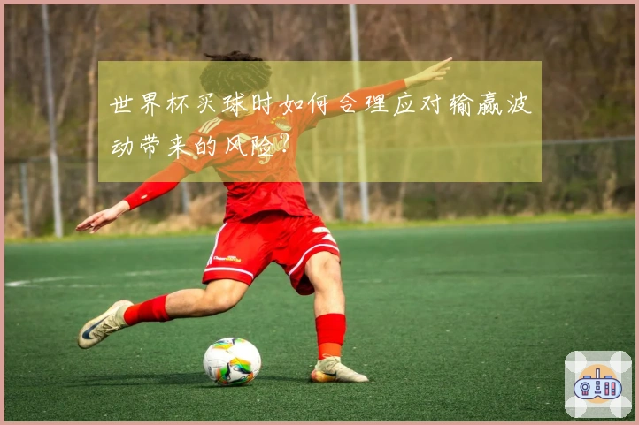 世界杯买球时如何合理应对输赢波动带来的风险？