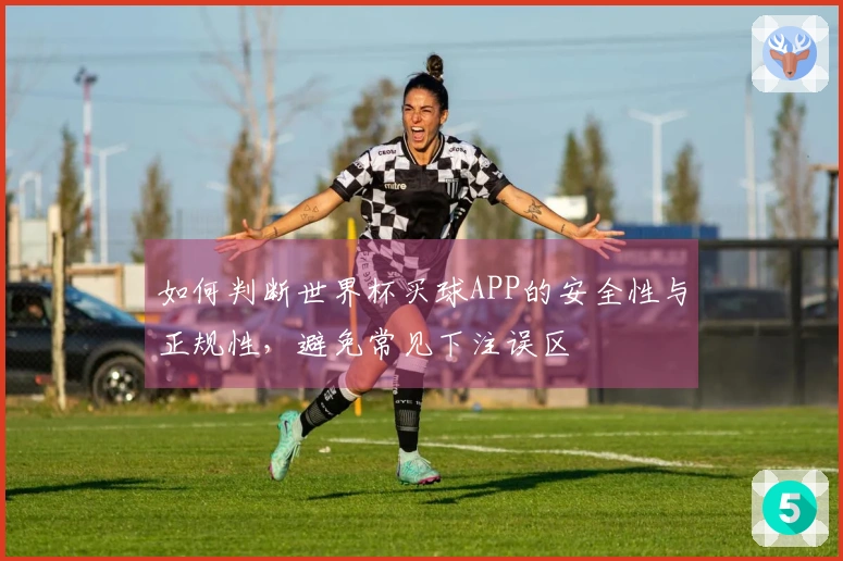 如何判断世界杯买球APP的安全性与正规性，避免常见下注误区