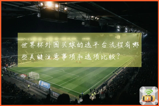 世界杯外围买球的选平台流程有哪些关键注意事项和选项比较？