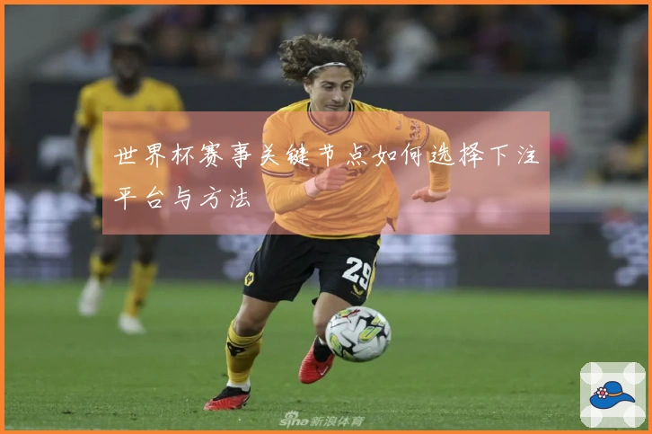 世界杯赛事关键节点如何选择下注平台与方法