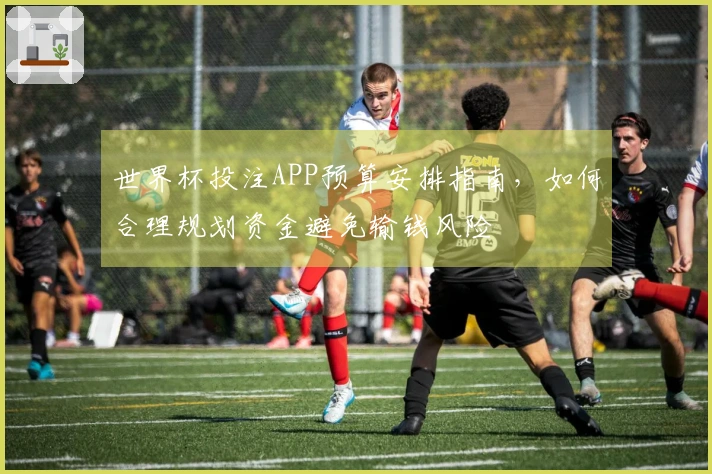 世界杯投注APP预算安排指南，如何合理规划资金避免输钱风险