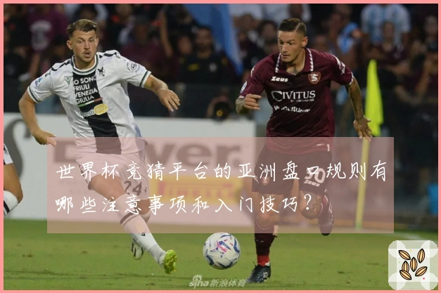 世界杯竞猜平台的亚洲盘口规则有哪些注意事项和入门技巧?