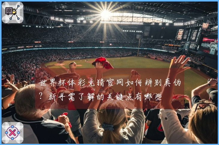 世界杯体彩竞猜官网如何辨别真伪？新手需了解的关键点有哪些