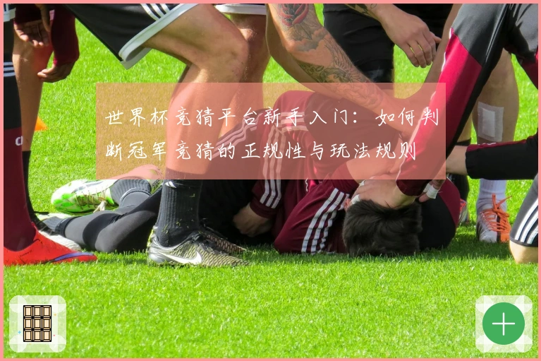 世界杯竞猜平台新手入门：如何判断冠军竞猜的正规性与玩法规则