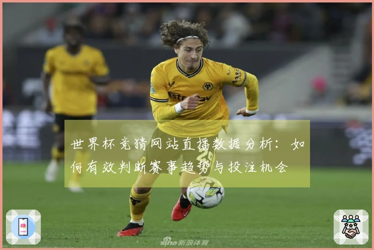 世界杯竞猜网站直播数据分析：如何有效判断赛事趋势与投注机会
