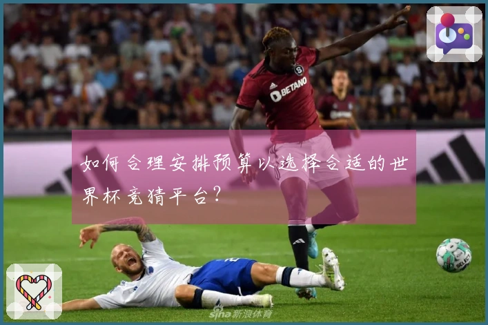 如何合理安排预算以选择合适的世界杯竞猜平台？