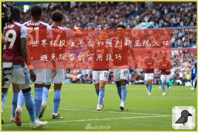 世界杯投注平台如何判断正规入口，避免踩雷的实用技巧