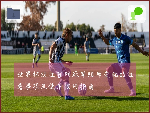 世界杯投注官网冠军赔率变化的注意事项及使用技巧指南
