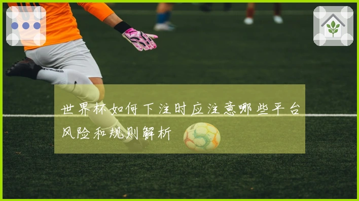 世界杯如何下注时应注意哪些平台风险和规则解析