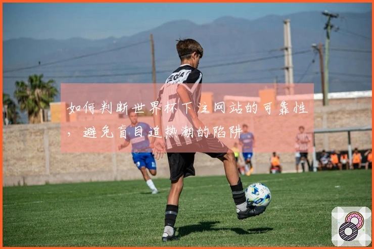 如何判断世界杯下注网站的可靠性，避免盲目追热潮的陷阱