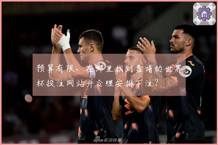 预算有限，在哪里找到靠谱的世界杯投注网站并合理安排下注？